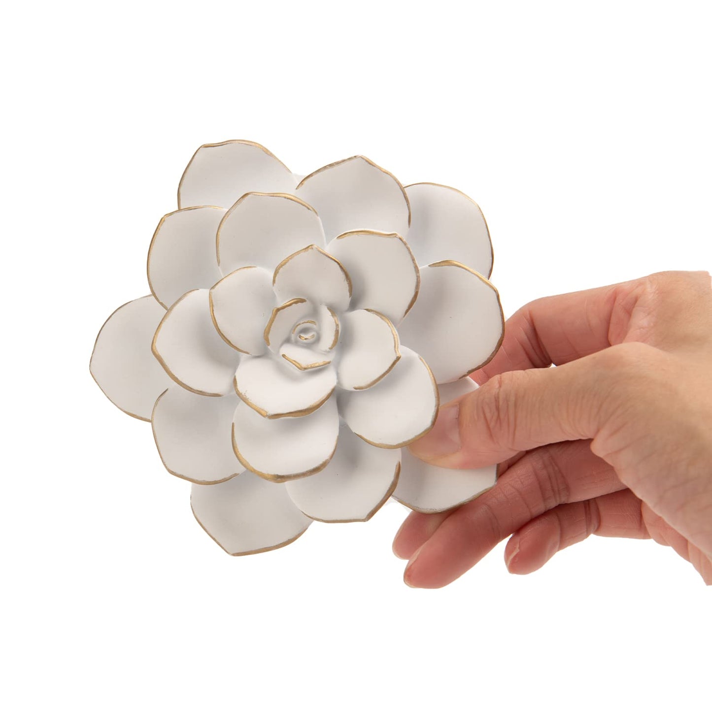 Guichifun Flower Wall Decor 3D Resin Succulent plants - Wall Hanging Decor Art Decor for Home Bedroom Living Room White Christmas Gift 3.25 X 4 X 1.25 Inch