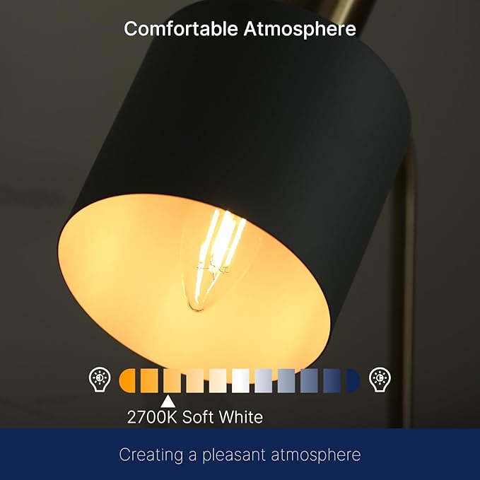 FLSNT 100W Equivalent LED Candelabra Bulbs, 800LM Dimmable B11 E12 LED Chandelier Light Bulbs, 5.5W, 2700K Soft White, 12 Pack