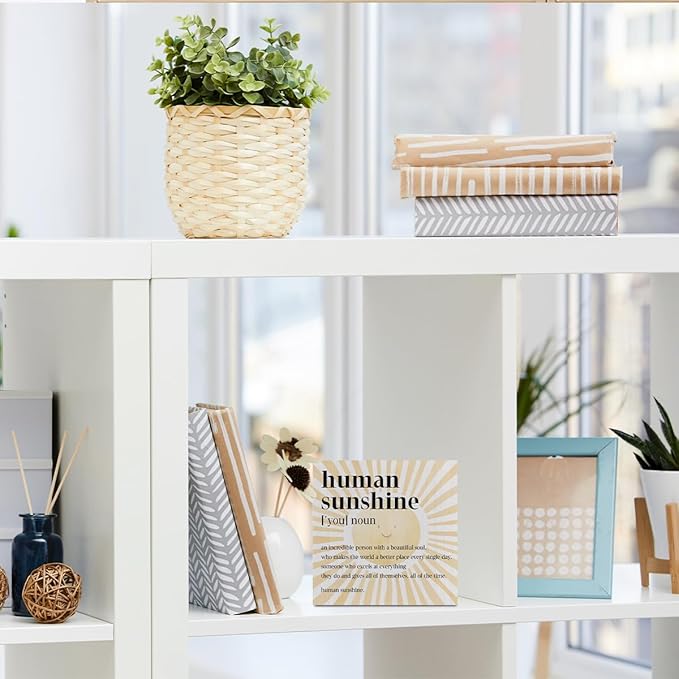 Inspirational Sunshine Gifts Boho Wooden Box Sign, Human Sunshine Definition, Appreciation Gifts for Coworkers Teacher Mom, Rustic Farmhouse Home Office Classroom Desk Table Decor Wood Block Plaque