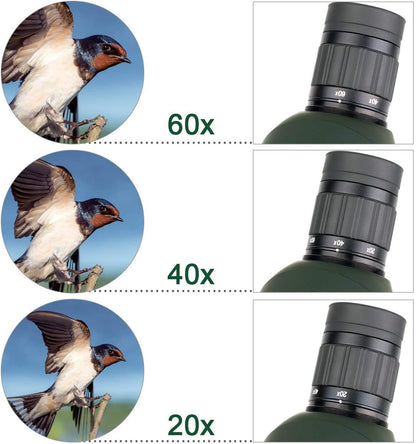 SVBONY SV28 Spotting Scopes 20-60x60mm, Angled Spotting Scope with Tripod IP65 Waterproof Long Range Scope,Spotter Scope with Phone Adapter for Bird Watching Hunting Target Shooting Wildlife Telescope