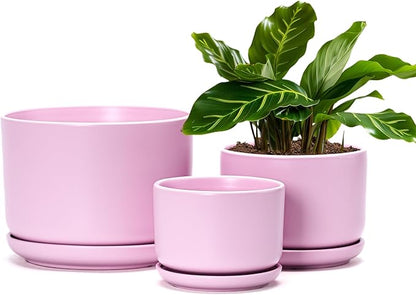 Ton Sin Plant Pots, 4.1+5.1+6.5 inch, Set of 3, Ceramic Planters with Drainage Hole and Saucer, Indoor Flower Pot with Drainage Hole, Gifts for Mom(Matte Pink)