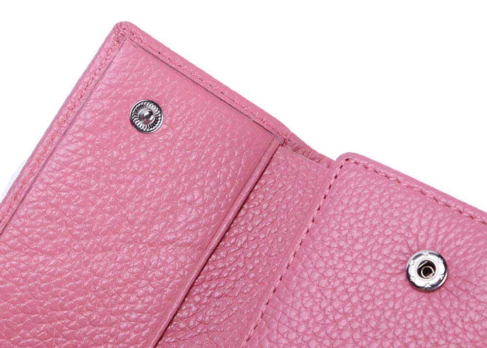 RuoFeng Keychain Key Holder Ring with 6 Hooks Snap Closure (Pink)