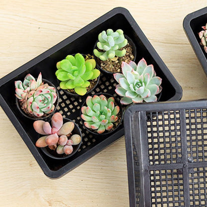 YARNOW 10 Pcs Mesh Bottom Trays Seedling Starter Trays Plastic Plant Reusable Recyclable Grow Plants Start Seeds Germination for Greenhouse Hydroponics Home Decor Accents