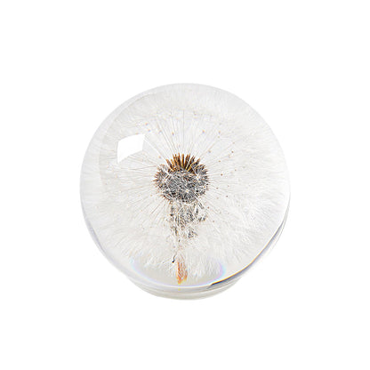 1st Heaven Dandelion Paperweight – Real Dandelion in Crystal Glass Ball, Unique Gift & Home Office Decor, Symbol of Luck, Hope, and Wishes for Birthday, Graduation, Wedding