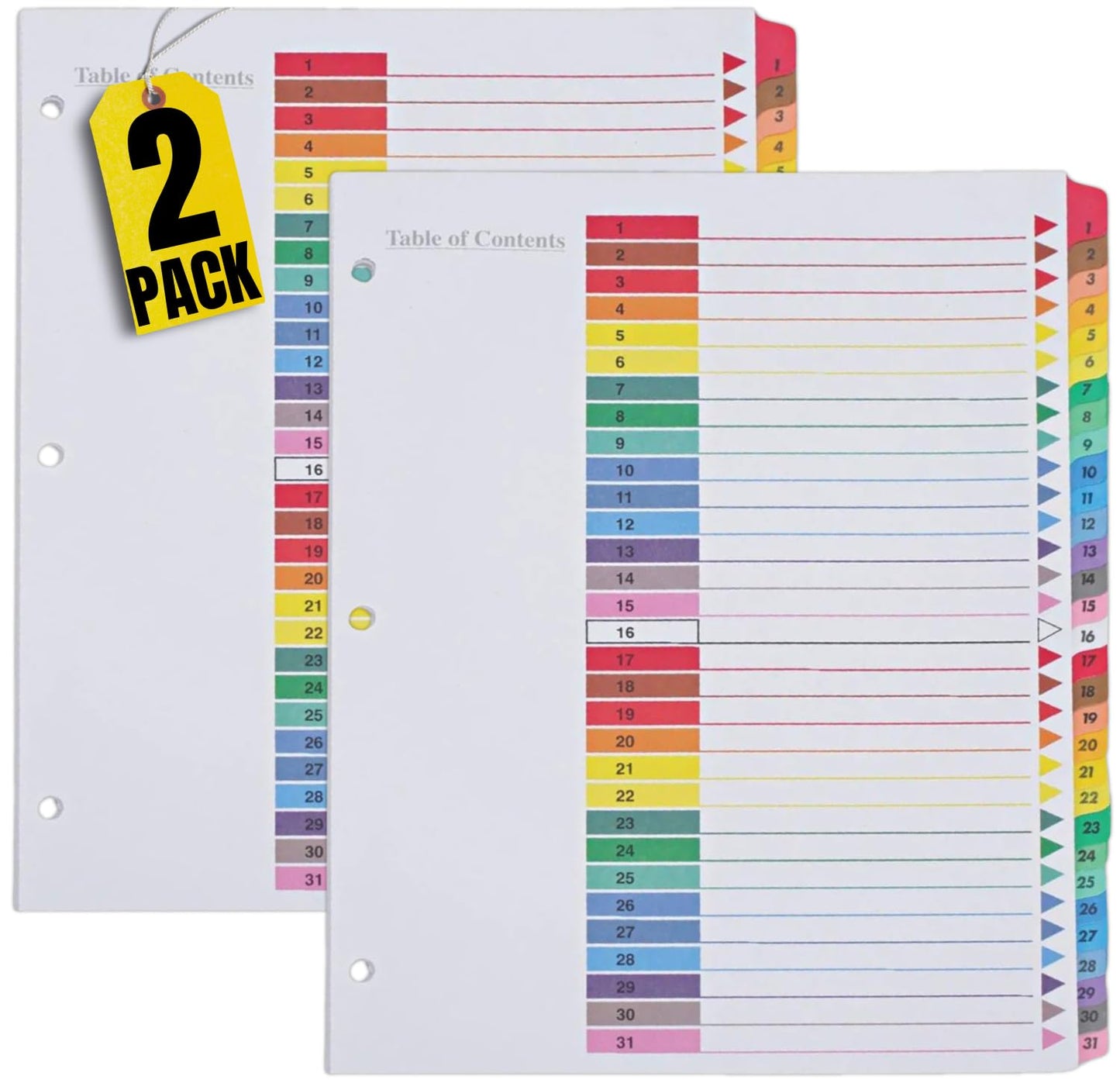 1InTheOffice 1-31 Tab Dividers for 3 Ring Binders, 31 Tab Daily Divider Sets, Table of Contents Divider Tabs, Multi-Color, 11 x 8.5, 2 Pack
