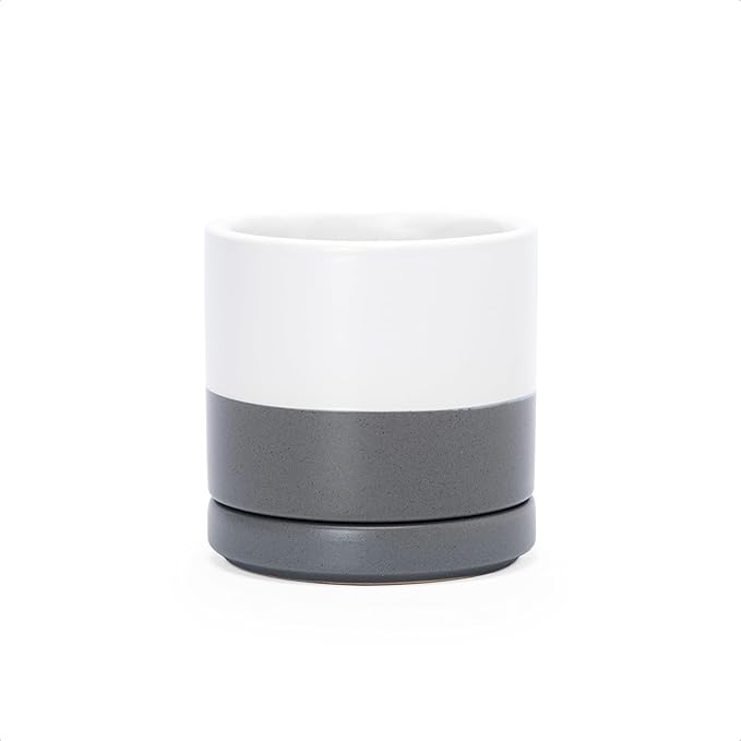 D'vine Dev 3.5 Inch Ceramic Planter Pot with Drainage Hole and Saucer, Indoor Cylinder Round Planter Pot, White/Speckled Grey, 94-O-A-6