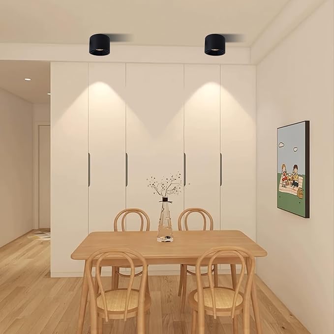 LED Dimmable Ceiling Spot Light Aluminum Matte Black 4.72'' Cylinder Spotlight Indoor Modern Minimalist Focus Ceiling Down Light Fixture for Living Room Hallway Foyer CRI 98 12W 3000K