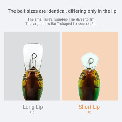 Stonefish Deep Diving Crankbait, Sinking Lure Bait, Bass Trout Fishing Lure, Saltwater Lures, Funny Fishing Lures, Fishing Tackle