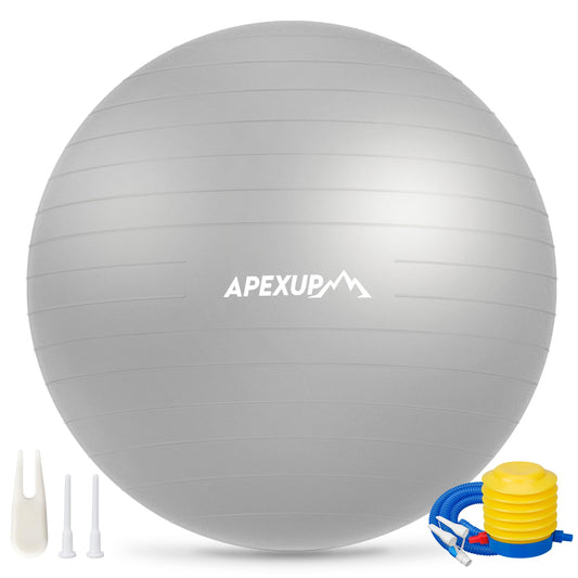APEXUP Yoga Ball, 660 lbs Anti-Burst Exercise Ball with Pump, 5 Sizes (M (19"~22) 55cm, Silver)
