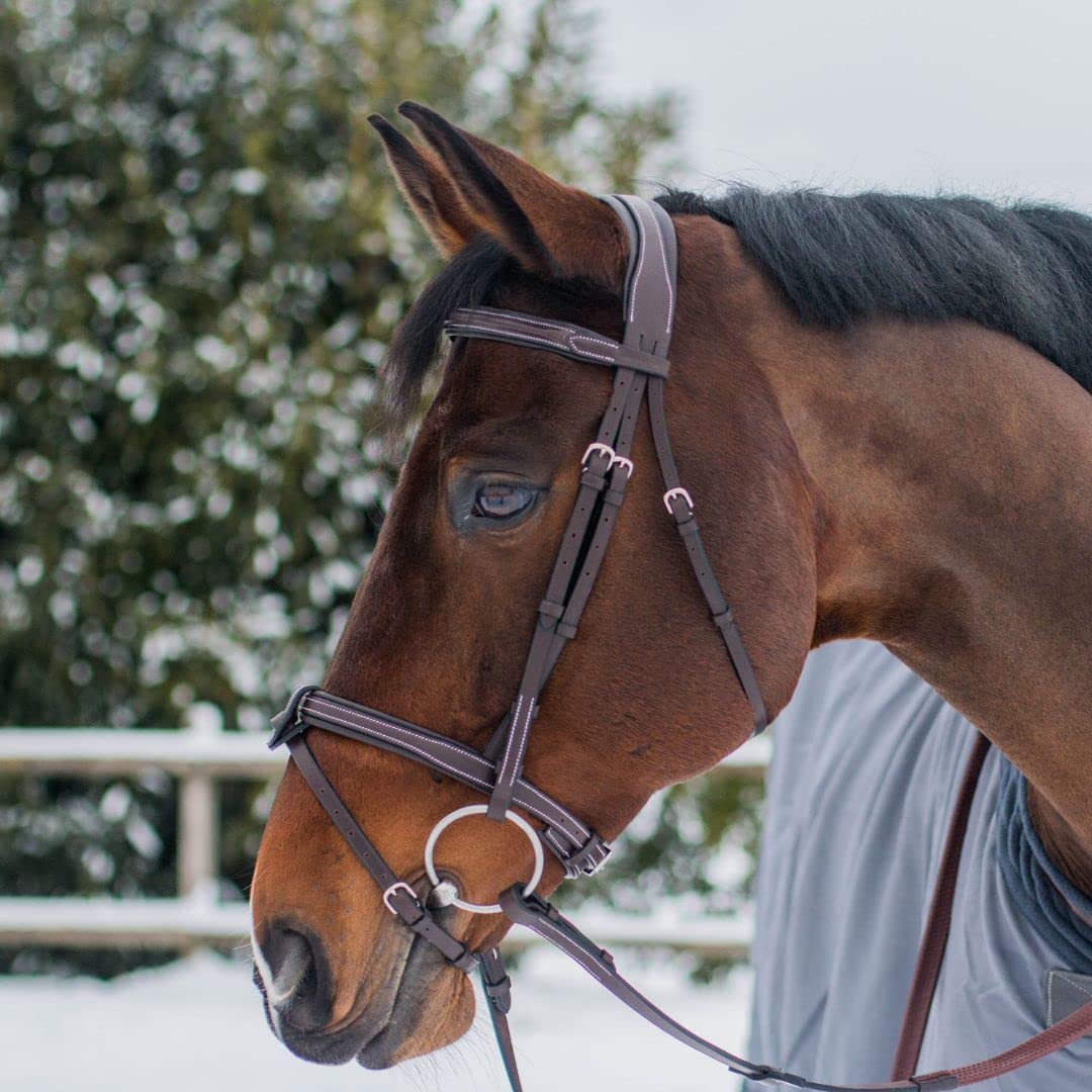 Exion Comfort Soft Lined Snaffle Hunter Jumping Bridle with Detachable Flash & Rubber Reins | Anatomical English Bridle for Horses (Oak Brown, Cob)