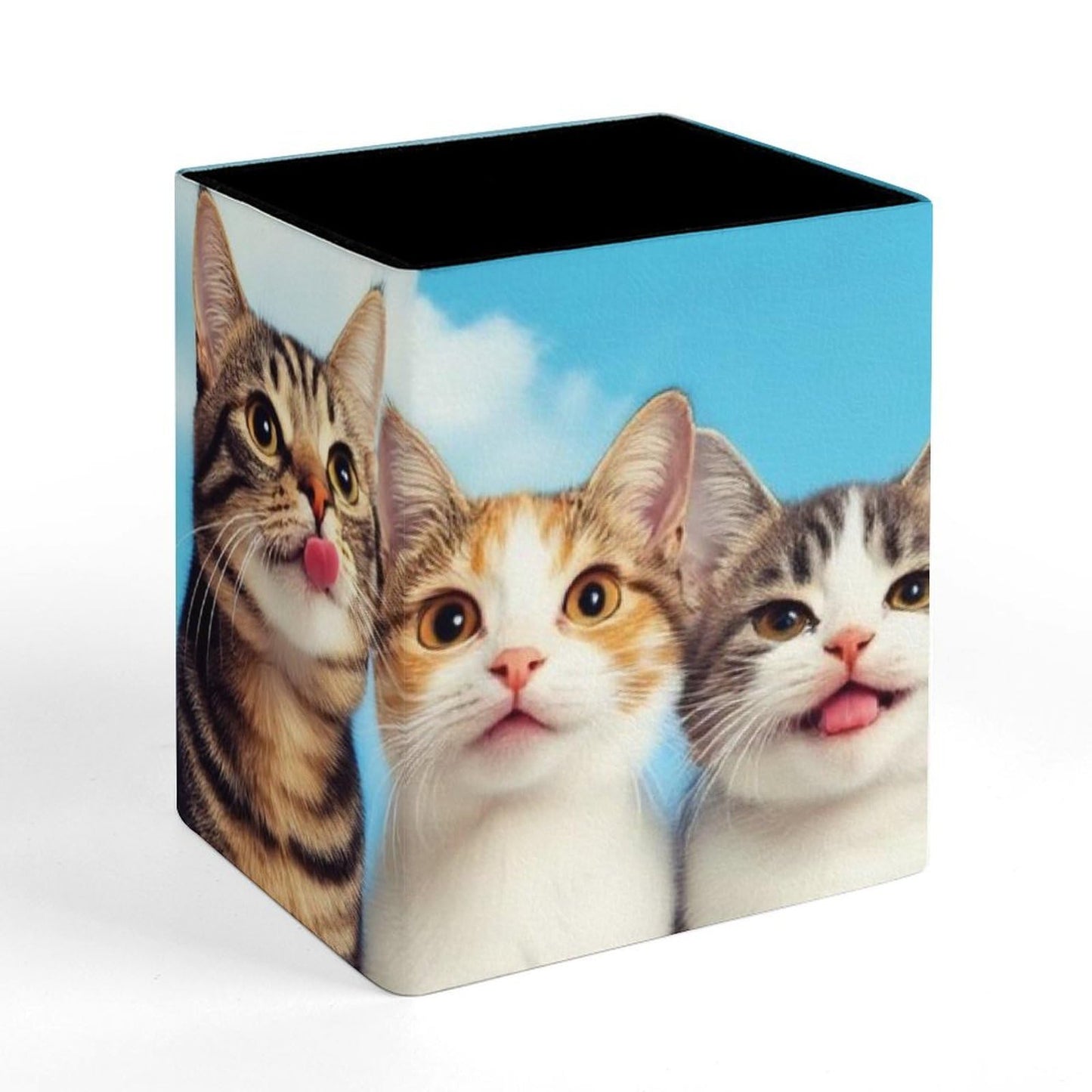 UTRSIFB Holder Cup Makeup Brush Storage Organizer, Waterproof Multifunctional Office Supplies, Pen Holder Square Leather Pencil Cute Cats