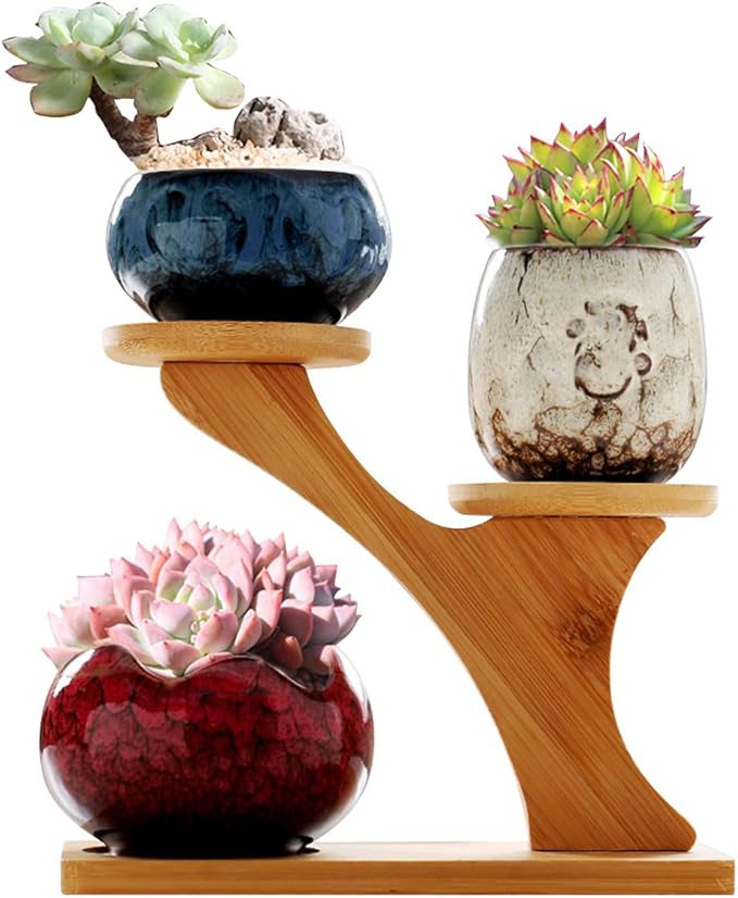 YYW Succulent Pots with Drainage Ceramic Plant Pot Indoor Small Flower Cactus Pots with Tree Tier Bamboo Stand Shallow Planter for Garden Windows Home Office Decor Plant Lovers Gifts
