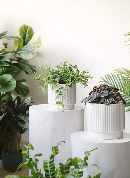LE TAUCI Ceramic Pots for Plants, 8+6.7+5.5 Inch Plant Pots Indoor, Flower Pot with Drainage Holes, Medium Cylinder Planters for Indoor House Plants, Set of 3, White