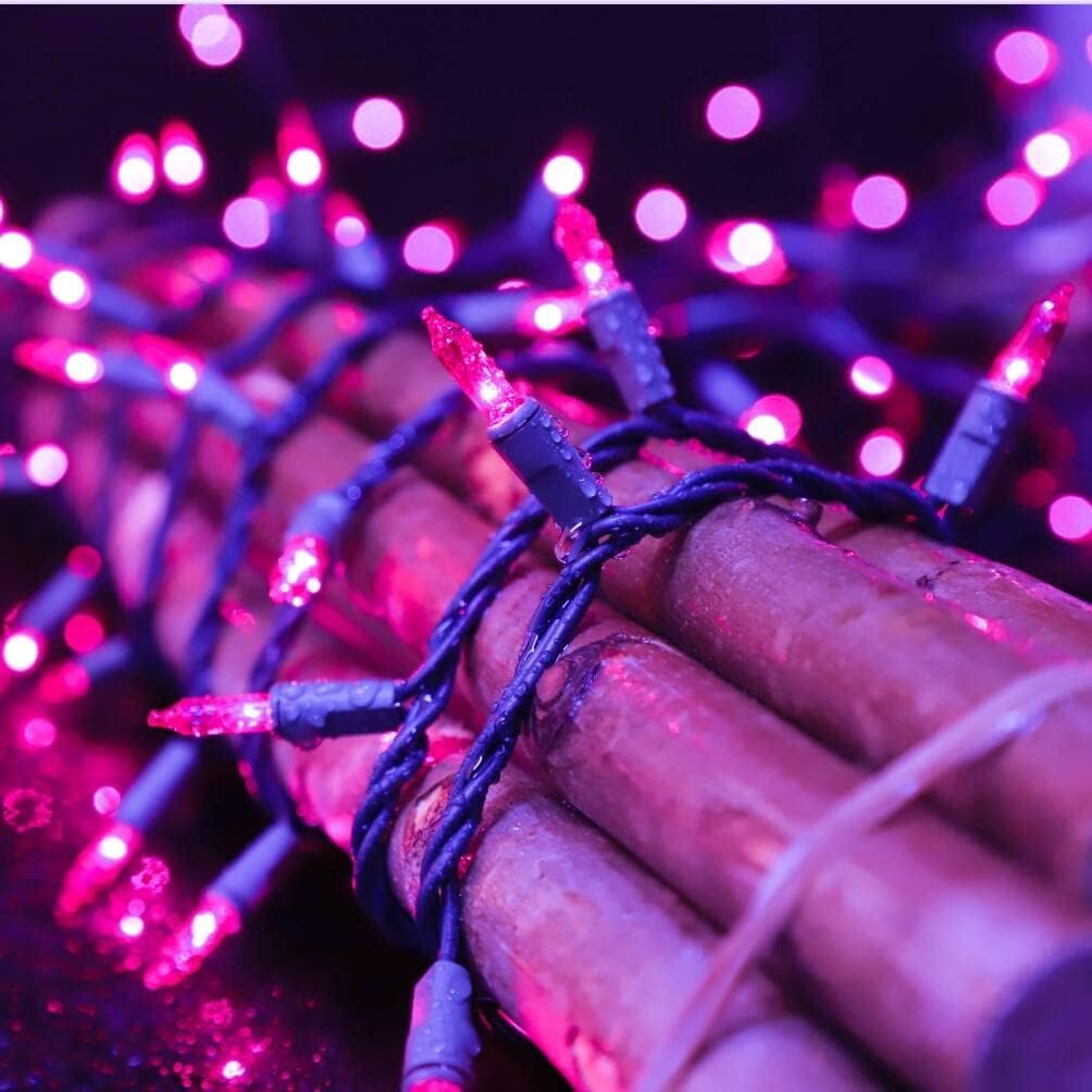 LAMPHOME Halloween Purple String Lights, 100 Mini Fairy Lights Set, Brown Wire 20Ft Traditional Halloween Holiday Décor for Home, Christmas Tree, Bedroom, Patio, Wedding