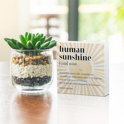 Inspirational Sunshine Gifts Boho Wooden Box Sign, Human Sunshine Definition, Appreciation Gifts for Coworkers Teacher Mom, Rustic Farmhouse Home Office Classroom Desk Table Decor Wood Block Plaque