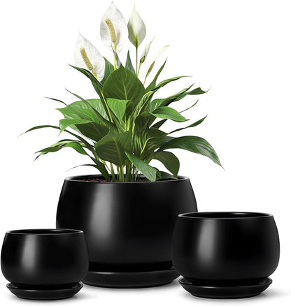 vancasso 3-Pack Ceramic Plant Pots, 3.7/4.8/6.2 Inch Indoor Planters with Saucers & Drainage Hole Planter pots for Indoor Plants and Flower, Black