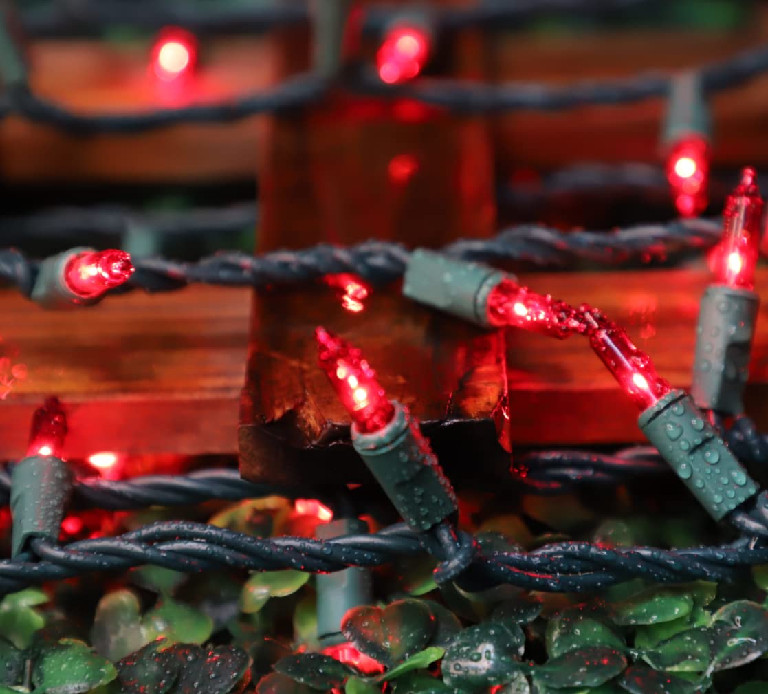 LAMPHOME Red Valentines Day Decor Lights,100 Count 19.6FT Mini Valentine's Lights,Red Christmas String Fairy Lights Outdoor Indoor Plug in for Room Party Wedding Tree Valentines Day Decorations