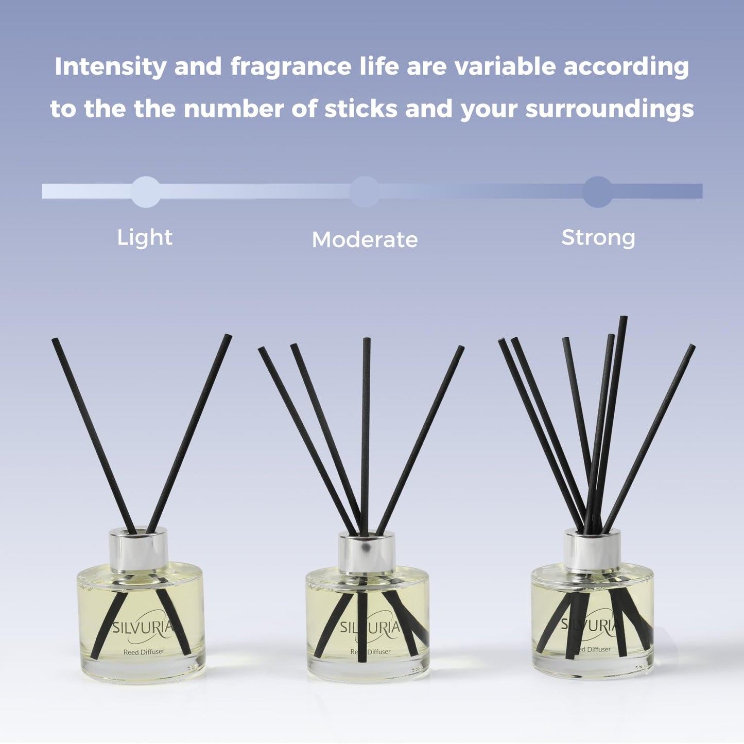 SILVURIA Reed Diffuser Set,2x100ml Bamboo Scented Oil Diffuser with 12 Reed Sticks,Long-Lasting Home & Office Fragrance for Living Room,Bedroom