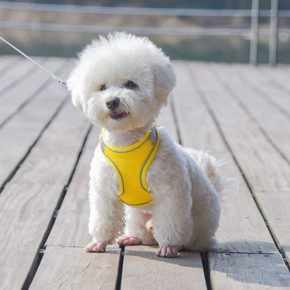 Puppy Harness and Leash Set, No-Pull Small Dog Vest with Lead, Breathable Mesh Reflective Pet Harnesses for Outdoor Walking for XXS Xs Small Medium Breed Dogs or Cats, Pink XXSmall