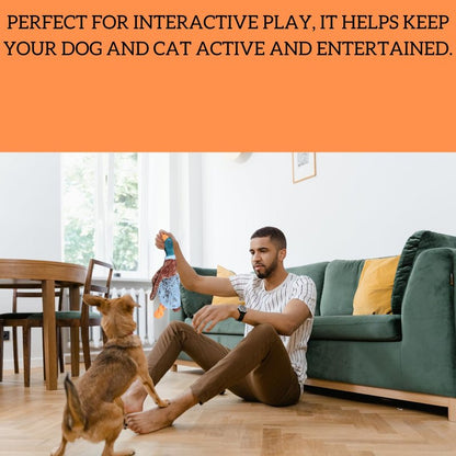 Duck Dog Toy Squeak Toys | Mallard-Shaped | Shaped Pet Toys | Duck Dog Toys for Large Dogs | Mallard Dog Toy | Dog Chew Toys | Stuffed Toys Interactive Animal.