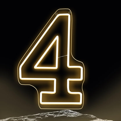 RUMONZS LED Acrylic Light up Number, Decorative Transparent Light up Letters USB Powered Big Number Sign Light for Birthday, Night Light, Party, Anniversary, Christmas, Home Decor, Wedding 12'' (number4)