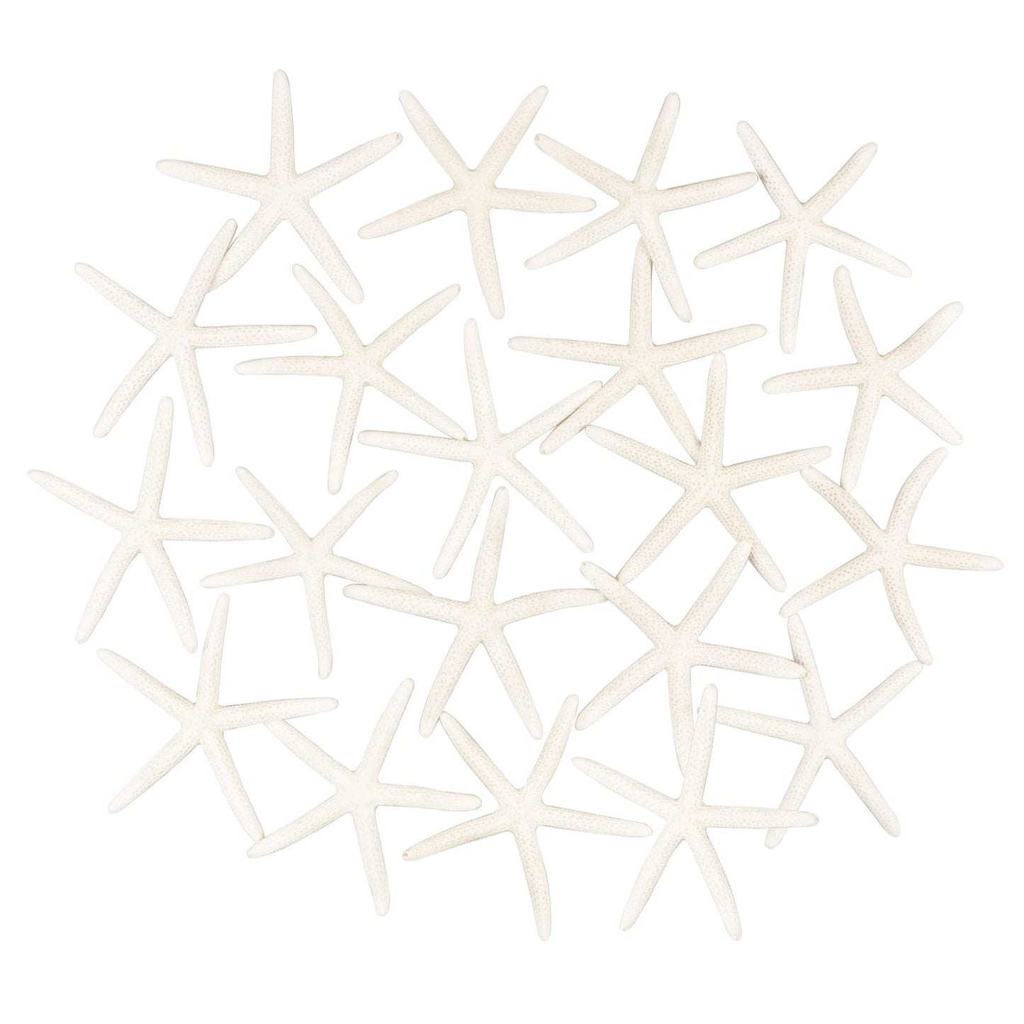 Jangostor 20 PCS Starfish, 2.5" to 4" Natural Seashells Starfish Star Fish Shells Decorations White Starfish Ornaments Perfect for Wedding Beach Theme Party Home Decorations, DIY Crafts, Fish Tank