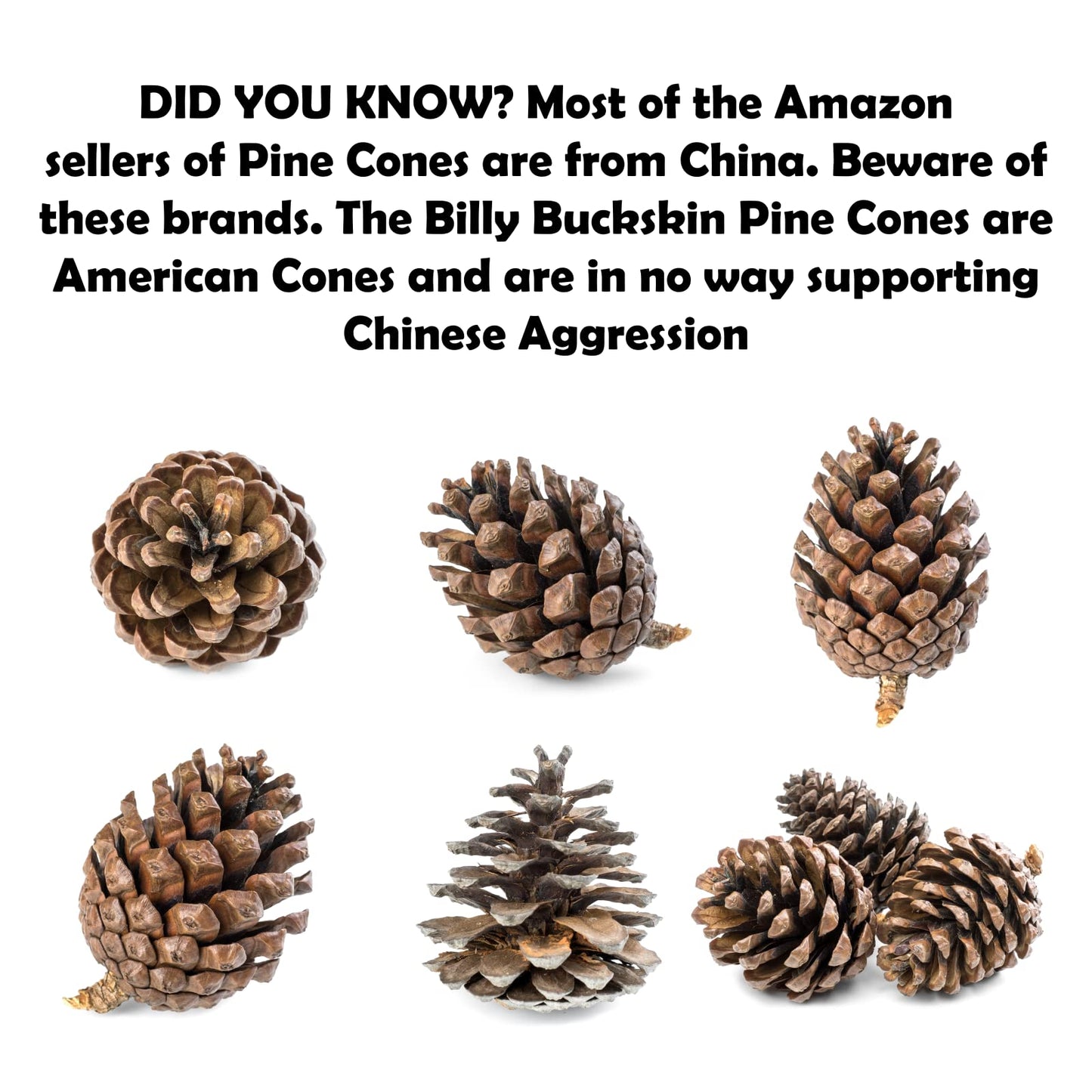 20 Large Natural Pine Cones for Crafts, 3" to 4" Tall Pine Cones Craft for Table, Home Decor, Vase Fillers, Desk & Christmas Trees, Unscented Pinecones Crafts Ornament for Decorating by Billy Buckskin