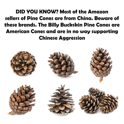 20 Large Natural Pine Cones for Crafts, 3" to 4" Tall Pine Cones Craft for Table, Home Decor, Vase Fillers, Desk & Christmas Trees, Unscented Pinecones Crafts Ornament for Decorating by Billy Buckskin
