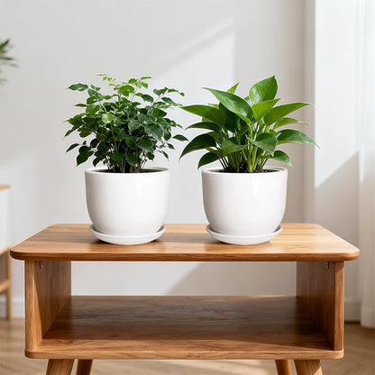 Ceramic Plant Pots,White 6.7 Inch Flower Pots for Plants,Ceramic Planter with Drainage Holes,Indoor Planter Pots with Saucer,Outdoor Garden Pots (White, 2 Pack)
