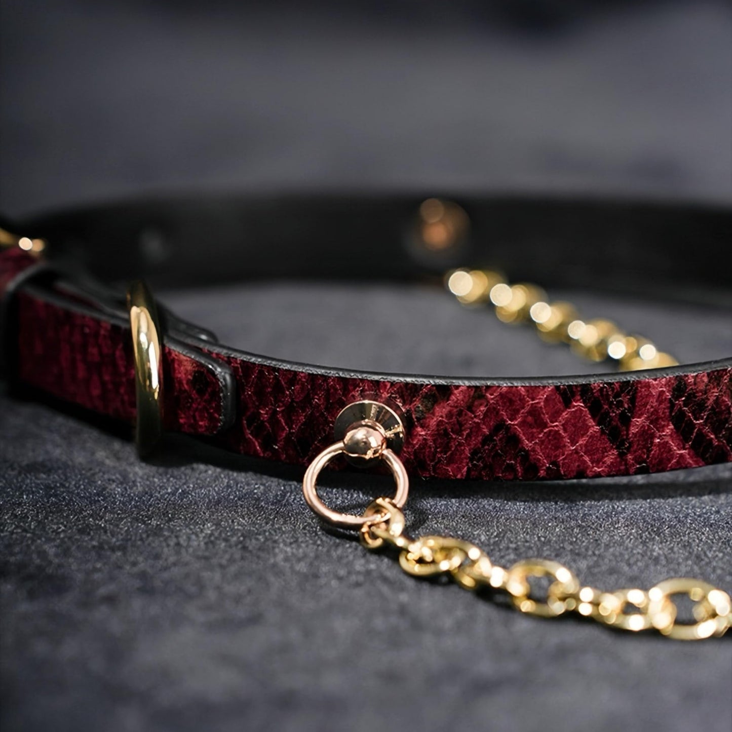 Yurielys Red Snakeskin Leather Choker Necklace with Gold Chain – Gothic Punk Adjustable Women’s Collar