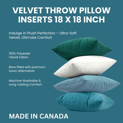 LANE LINEN Throw Pillow Insert - Pack of 2 16x16 Pillow Inserts for Decorative Pillow Covers, Throw Pillows Insert for Couch - White