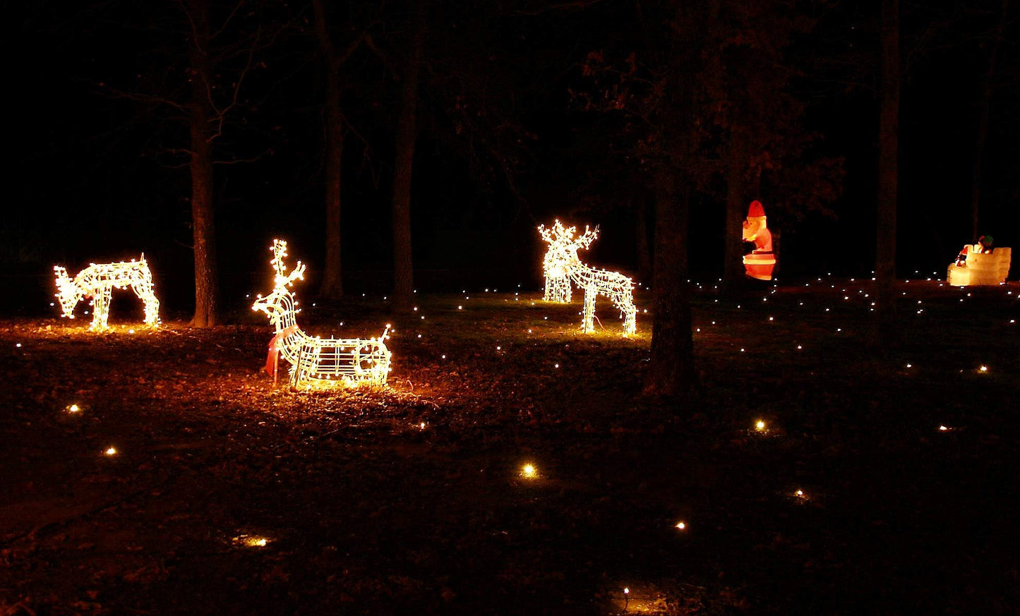 Lawn Lights Illuminated Outdoor Decoration, LED, Christmas, 36-08, Strobe