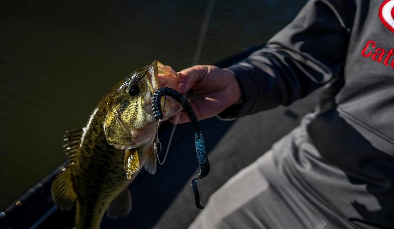 Berkley PowerBait Fishing Soft Worms - Durable, Realistic Lures for Freshwater Angling
