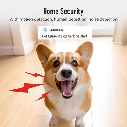 PARIS RHÔNE 2K Pet Camera, 360°View Dog Camera Treat Dispenser, 5G WiFi Pets Monitoring with Phone APP, Two-Way Audio, Infrared Night Vision, Barking Detection and Motion Alerts, Works with Alexa