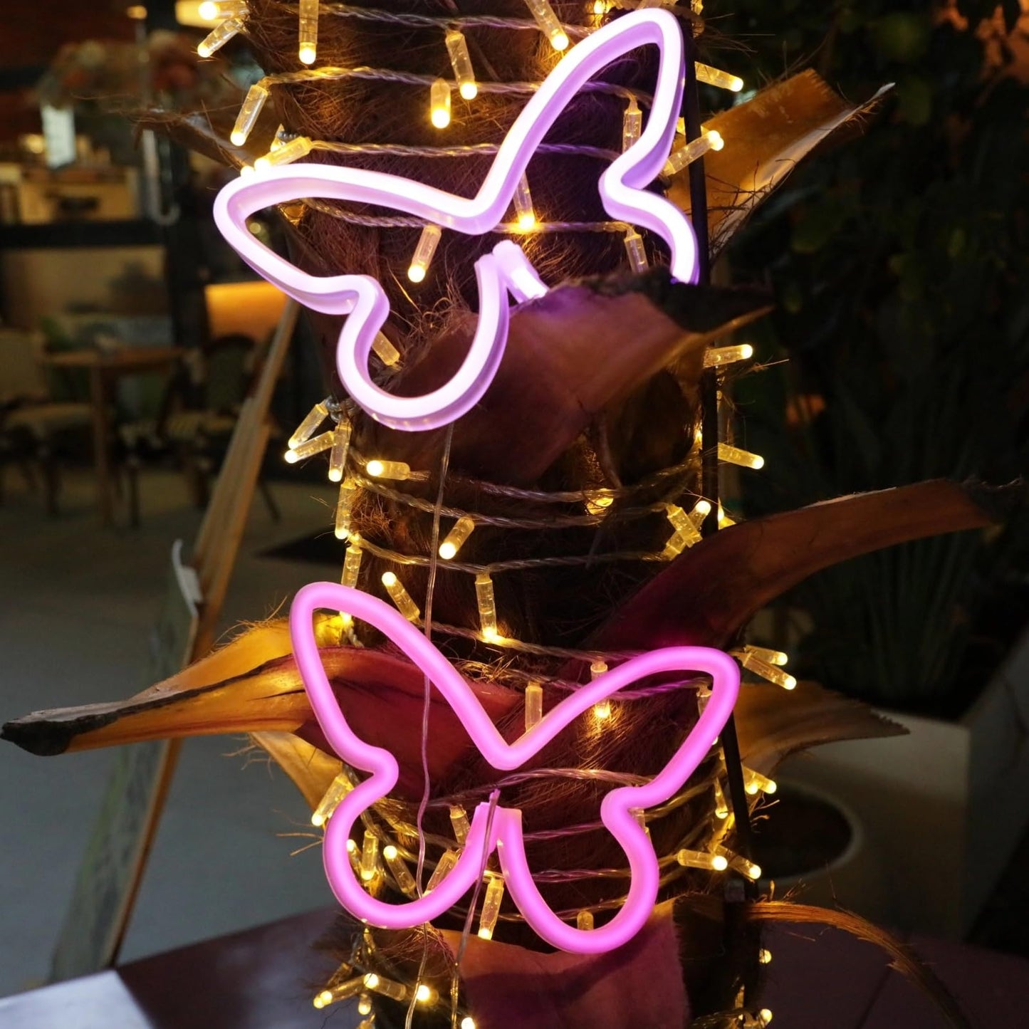 Butterfly Neon Sign, 2 Pack Led Neon Light USB/Battery Operated Wall Decor for Party, Birthday, Wedding, Holiday, Christmas, Living Room, Bar, Bedroom, Indoor, Valentine Gifts (Pink Purple)