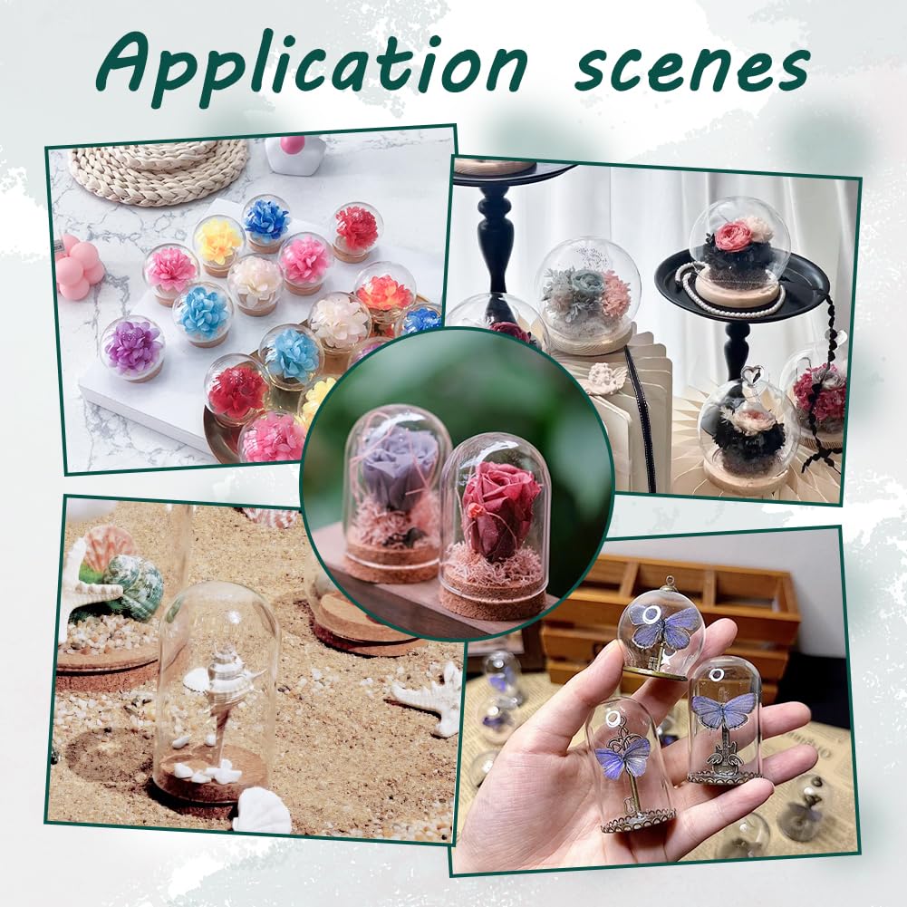 NBEADS 6 Pcs Mini Round Glass Dome, Clear Glass Display Dome Cover with Wood Base Cloche Bell Jar for Centerpieces Plants Rocks Specimens Decorations Crafts, Diameter: 1.57 inch FireBrick
