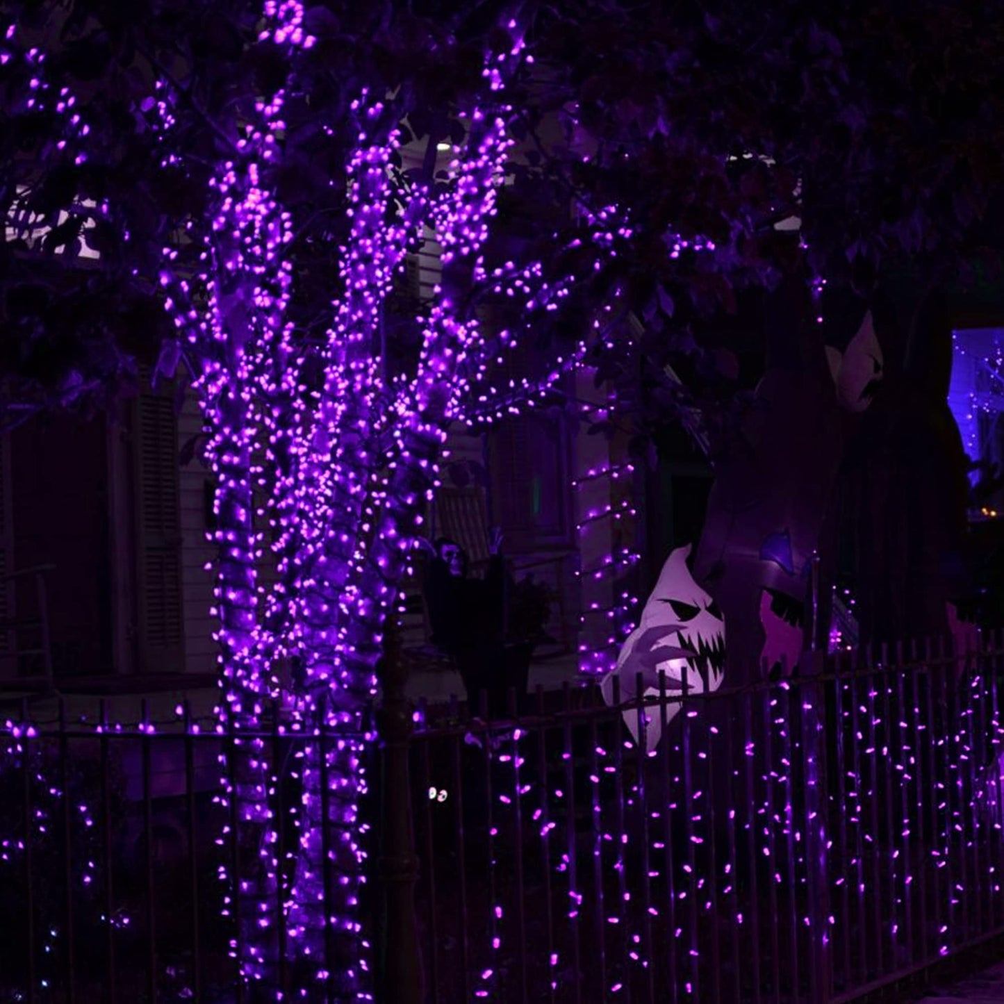 Dazzle Bright Purple Halloween Fairy String Lights, 4 Pack Total 80FT 240LED Copper Wire Battery Operated Waterproof Lights, Halloween Decorations for Indoor Home Outdoor Patio Yard Party Decor