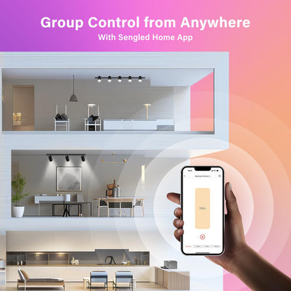 Sengled WiFi Light Bulb - Smart Bulbs That is Compatible with Google Assistant, A19 Daylight (5000K) - No Hub Required, 800LM 60W High CRI)60 Equivalent, 4 Count (Pack of 1)