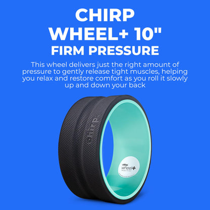 Chirp Wheel Foam Roller – Targeted Back & Neck Relief, Lumbar Spine Stretcher, Spinal Decompression Back Stretcher, Massage Roller with Density Foam for Physical Therapy, Supports 500lbs, 2-Inch Mint