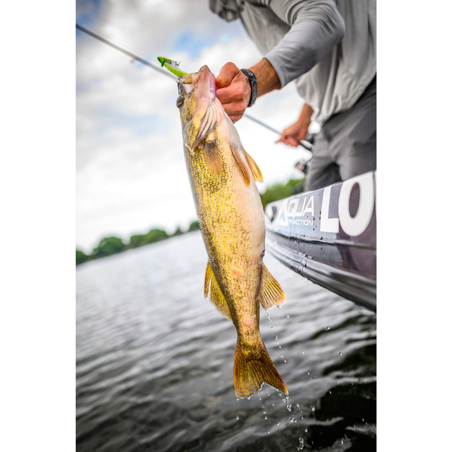 Berkley Gulp!® Minnow,Chartreuse Shad,2-1/2- Inch (Pack of 12), 3"