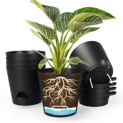 SPEPLA 8 Inch Self Watering pots for Indoor, 6 Pack Plastic Plant Pots with Drainage Holes, Black