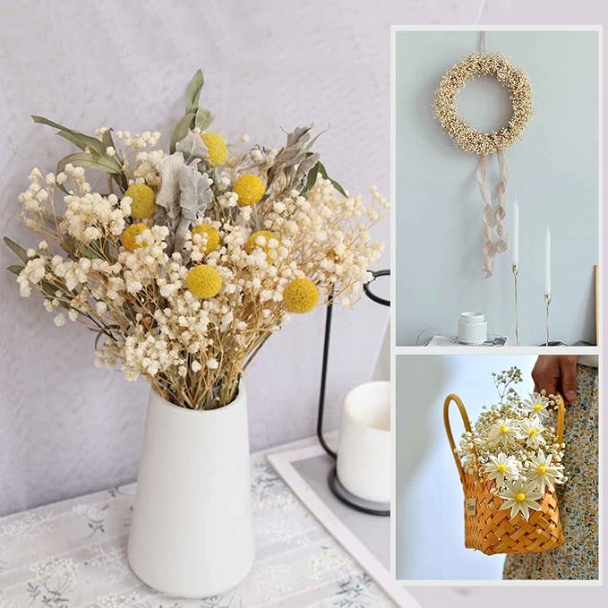 Dried Babys Breath Flowers Bouquet-17 Inch 5000+ Ivory White Dry Flowers, Natural Gypsophila Branches for Wedding, Table Vase Decor, DIY Wreath Floral, Home Office Party Garden Decoration (6OZ)