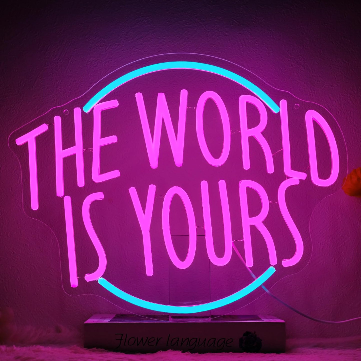 Runalosa The World is Yours Neon Sign for Room Decor Dimmable Blue Pink Girl Neon Light Sign Letters Led Signs for Wall Decor Bedroom Party Man Cave Bar Wedding Cafe Party Decor 15.7" x 12.4" Gift