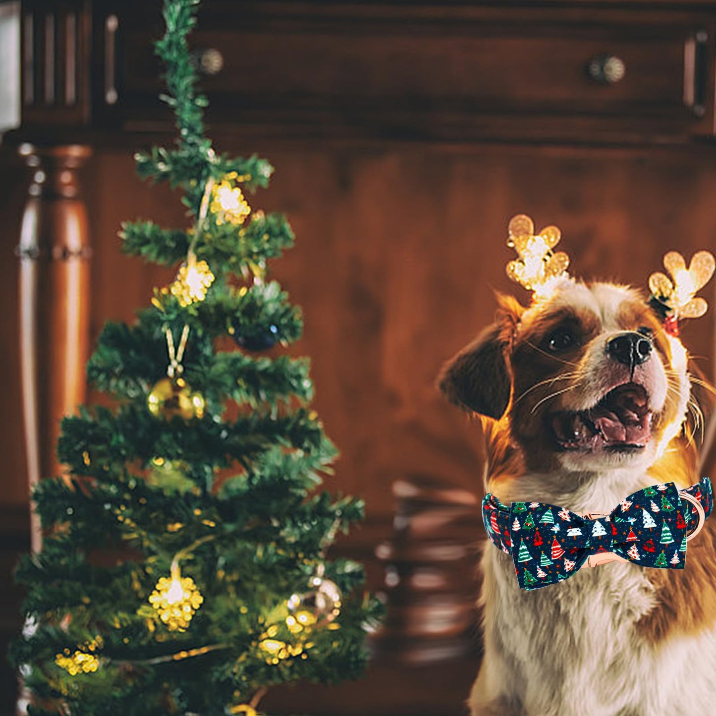 Elegant little tail Christmas Dog Collar, Christmas Tree Pet Collars Bow Red Metal Buckle Collar Puppy Girl Boy Holiday Cotton Soft Bowtie Adjustable Dog Collar for Large Dogs