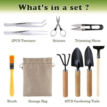 9PCS Basic Bonsai Tools Set, Bonsai Tree Kit Mini Garden Tools Includes Pruning Shears, Mini Rake, Fold Scissors and More