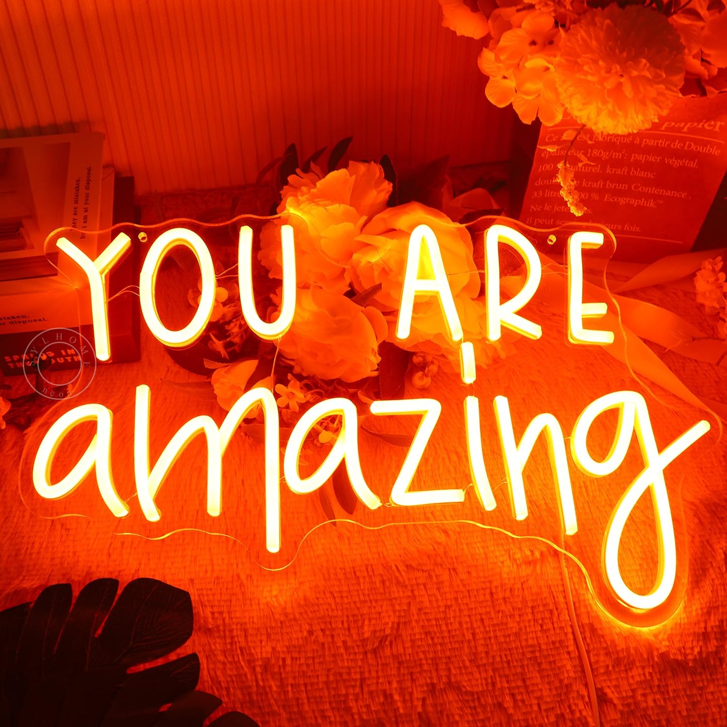 SYLHOME Orange You Are Amazing LED Neon Light Sign 5V Girls Boys Bedroom Living Room Classroom Wall Decor Sign Hanging Smart Birthday Decoration USB 16.9" X 10.6"
