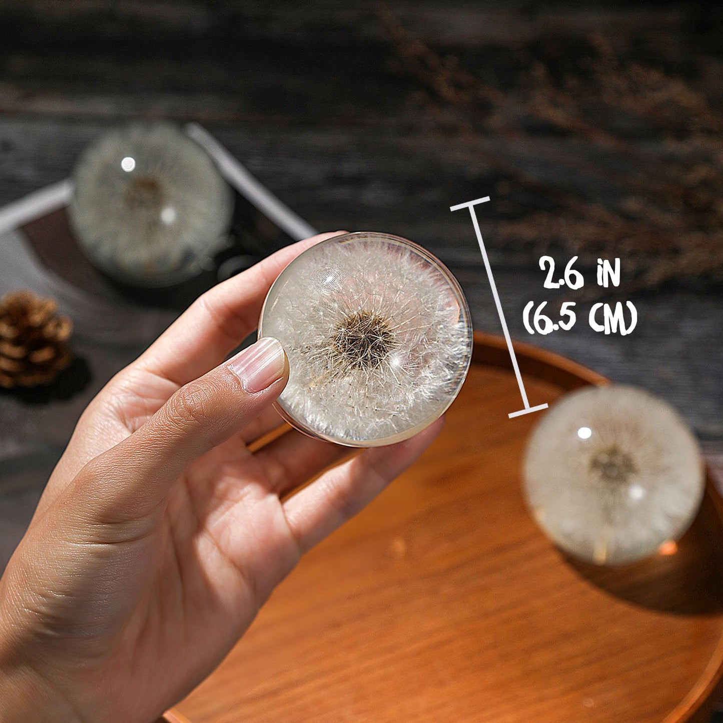 1st Heaven Dandelion Paperweight – Real Dandelion in Crystal Glass Ball, Unique Gift & Home Office Decor, Symbol of Luck, Hope, and Wishes for Birthday, Graduation, Wedding