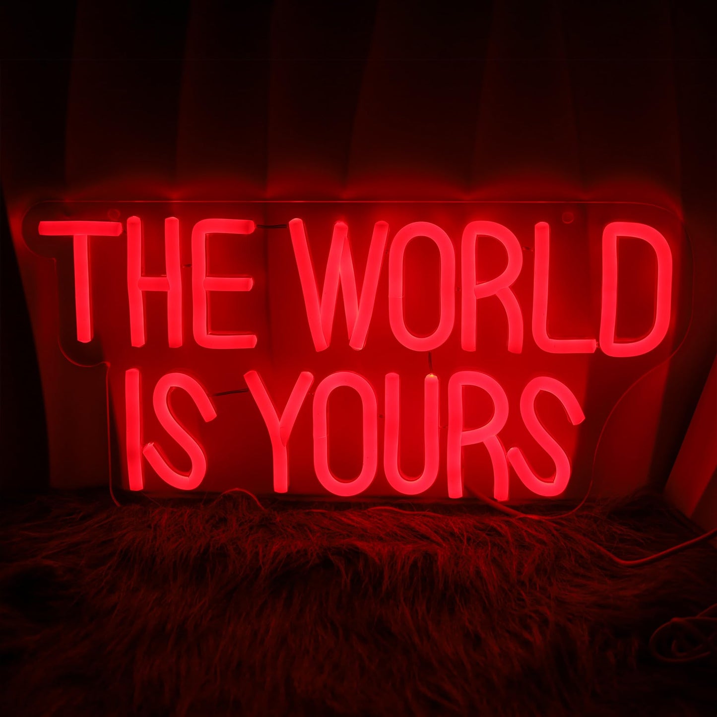The World Is Yours Neon Sign Dimmable The World is Yours LED Sign Wall Decor Gift Suitable for Bedroom Game Room Man Den Cinema Party 14 * 6.8 Inch