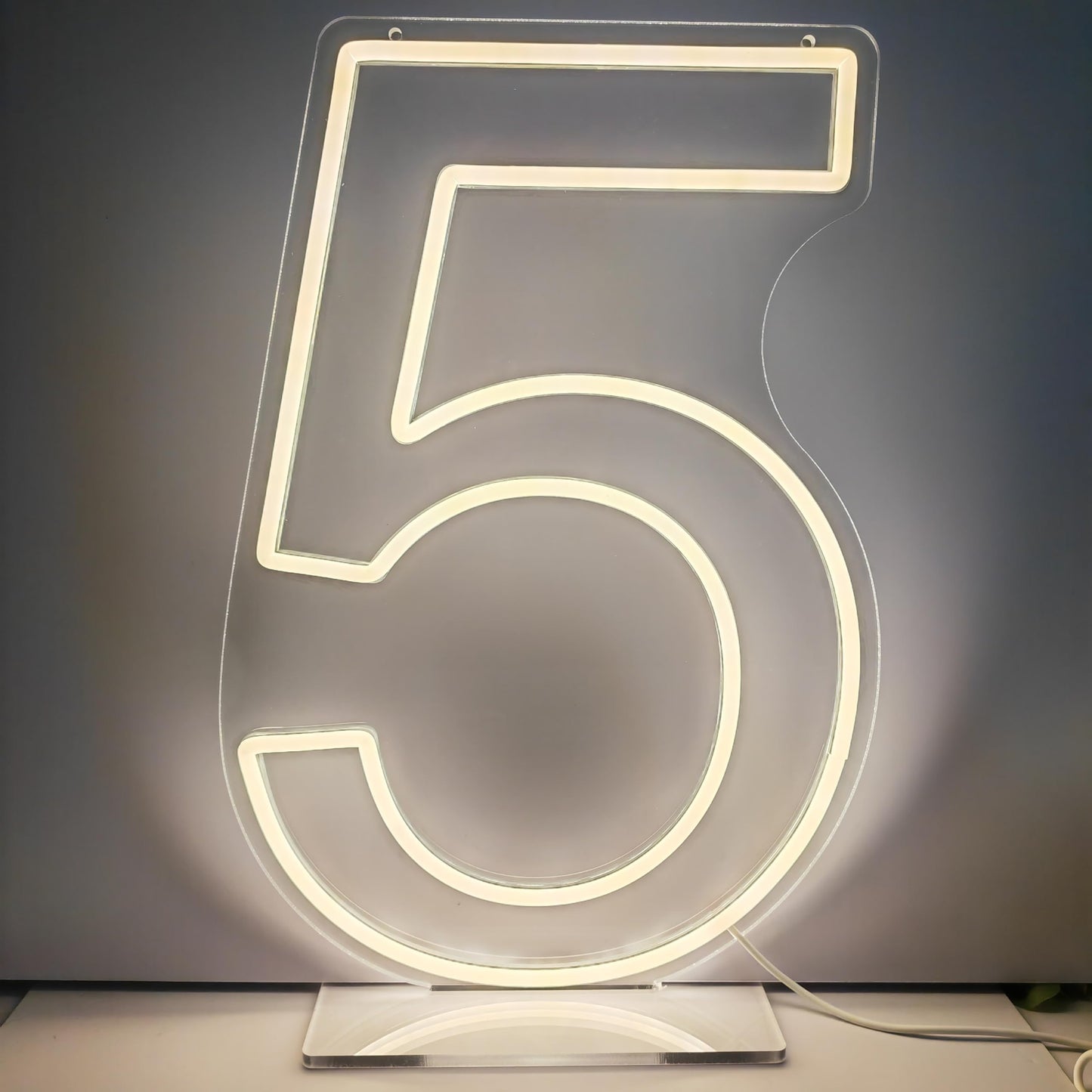 Neon Signs Number 5 Birthdays Decor Neon Lights Party USB Plus Battery Case Light up your baby's birthday with our Neon Number Five Sign (Number 5-Warm White)