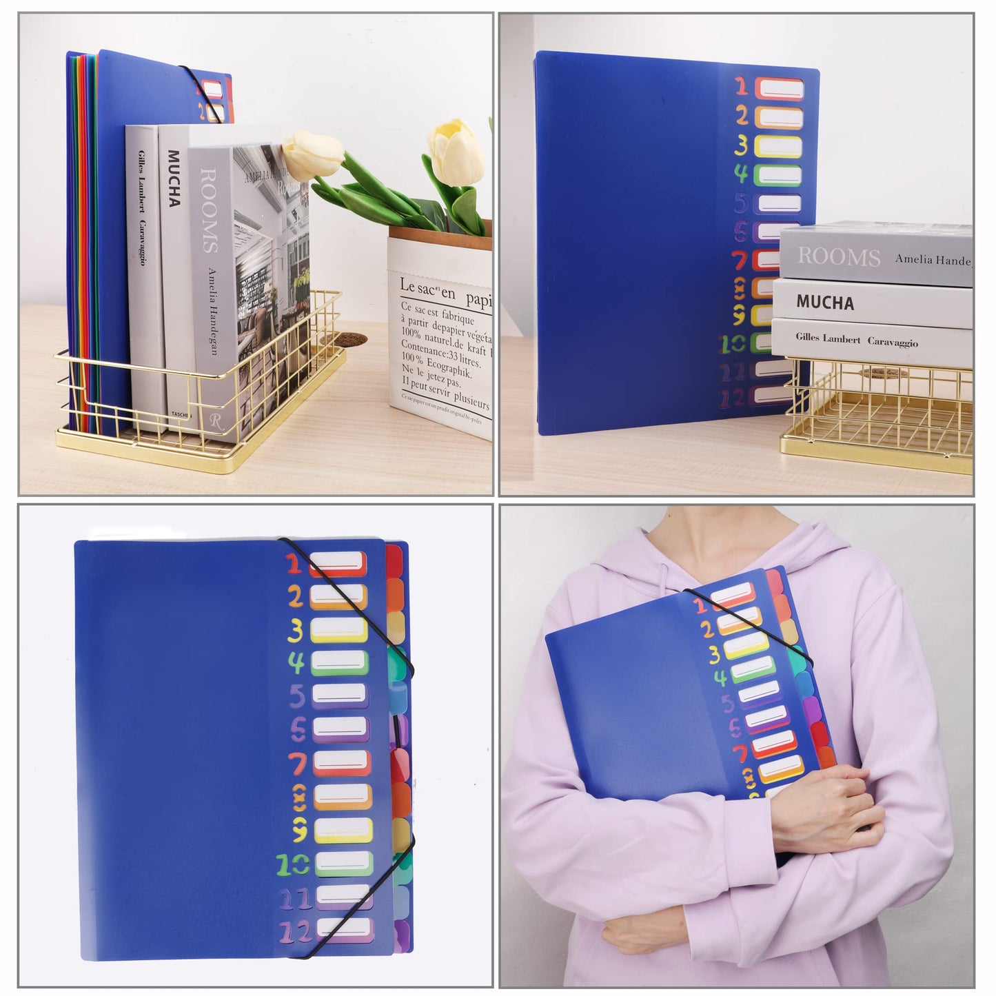 Edufun Rainbow Tab Expanding File Folder - 24 Pockets, Durable A4 Letter Size Organizer, Water-Resistant Plastic Dividers, Home/Office/School Document Holder (Blue)